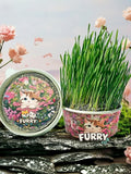 Organic Cat Grass By F&C™