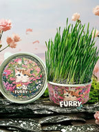 Organic Cat Grass By F&C™