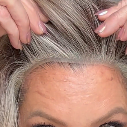 Raquel Welch  Simmer | HF Synthetic Lace Front Wig