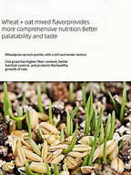 Organic Cat Grass By F&C™