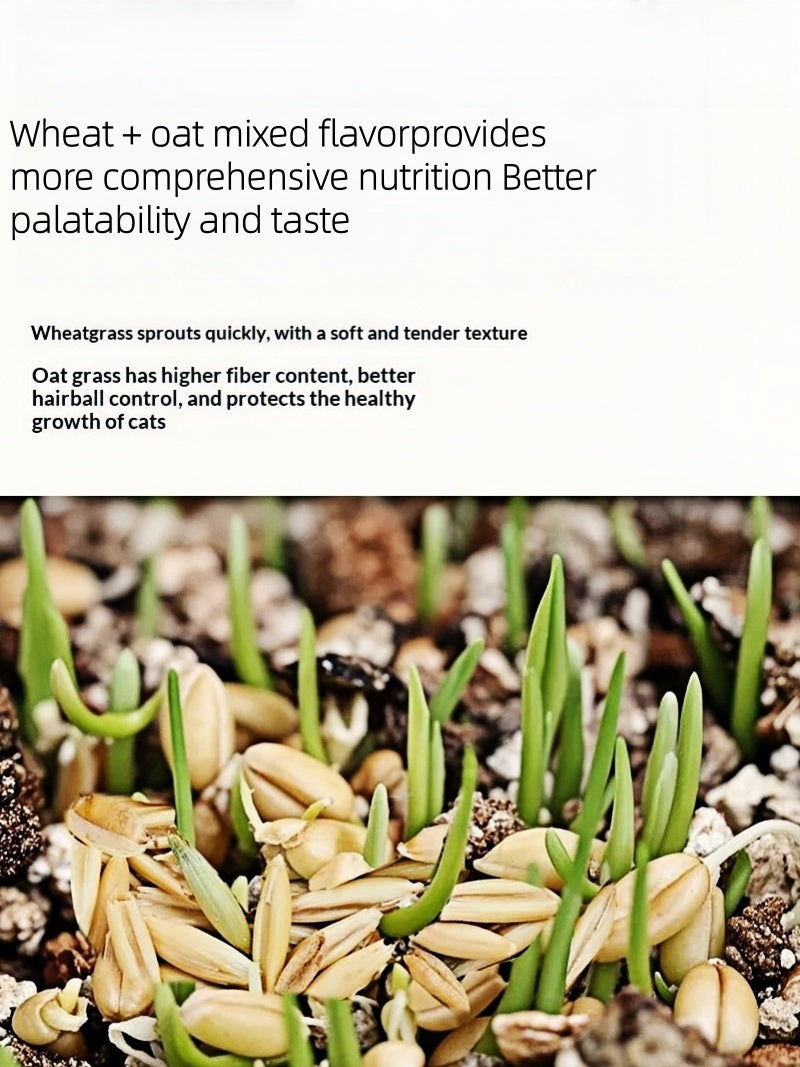 Organic Cat Grass By F&C™