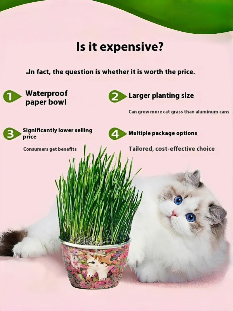 Organic Cat Grass By F&C™