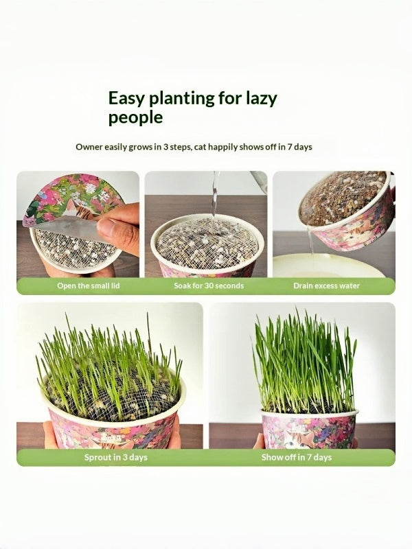 Organic Cat Grass By F&C™