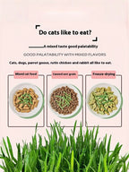 Organic Cat Grass By F&C™