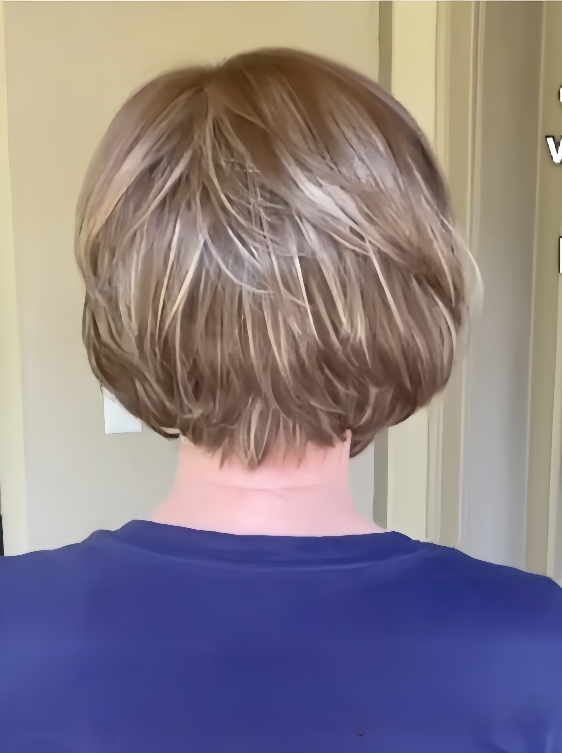 Barbara | Synthetic Lace Front Wig