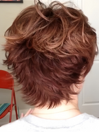 Cinch | Synthetic Wig (Basic Cap)