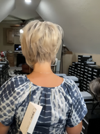 Go to Style Wig by Raquel Welch | Lace Front, Monofilament