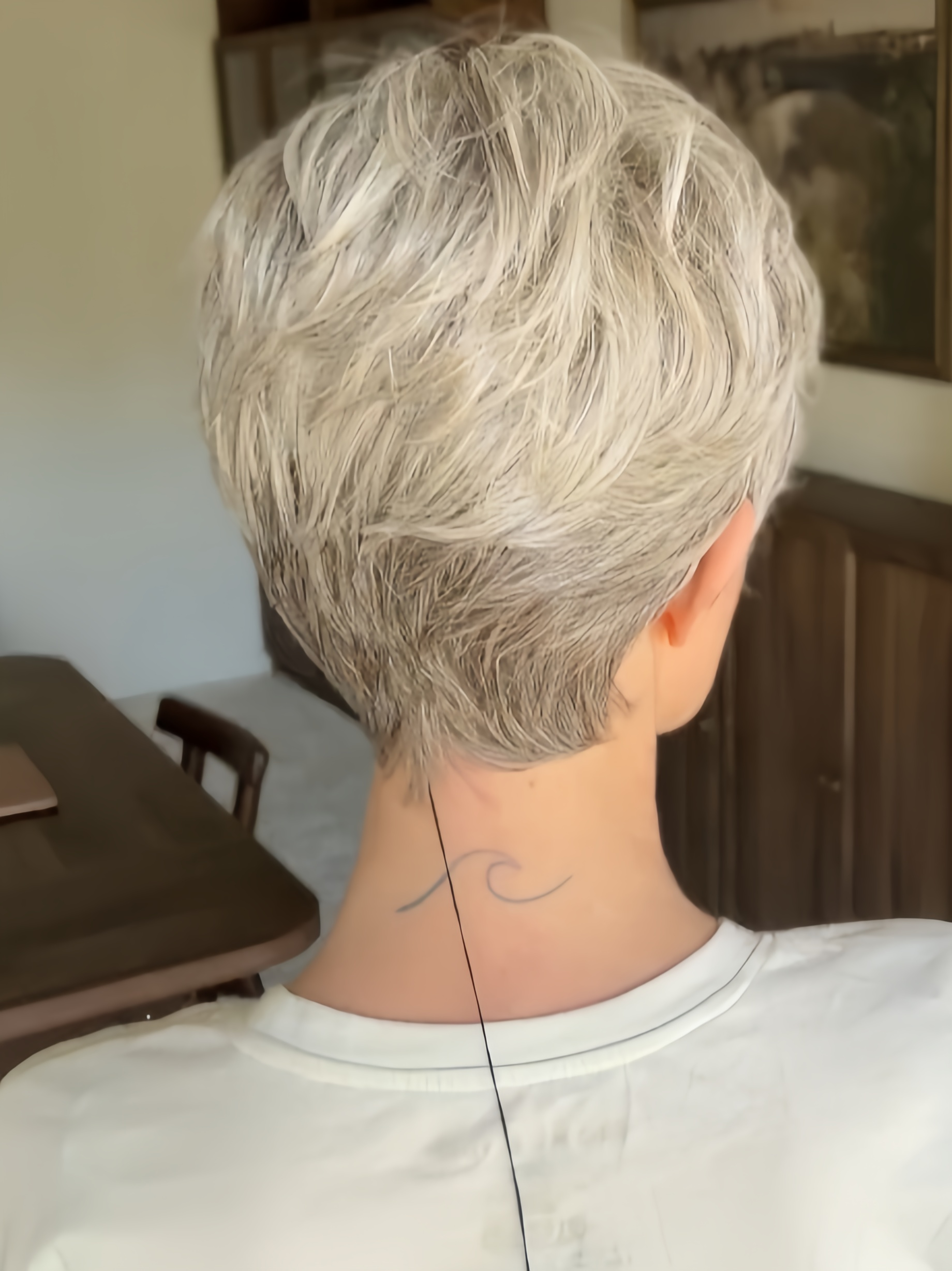 Celine | Synthetic Lace Front Wig (Mono Top)