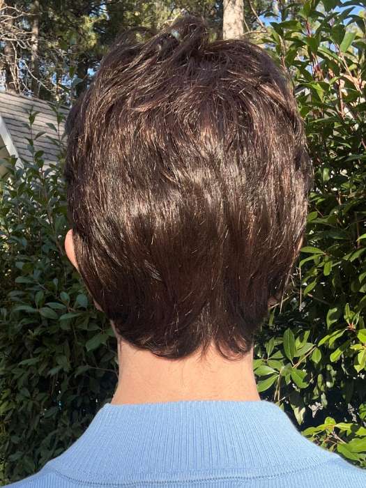 Ellen Wille  Estate | Synthetic Lace Front Wig
